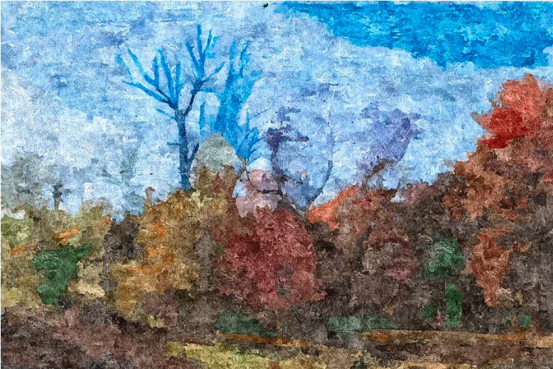 Autumn Colors in the Park